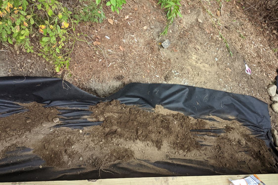 Landscape Fabric With Dirt On Top